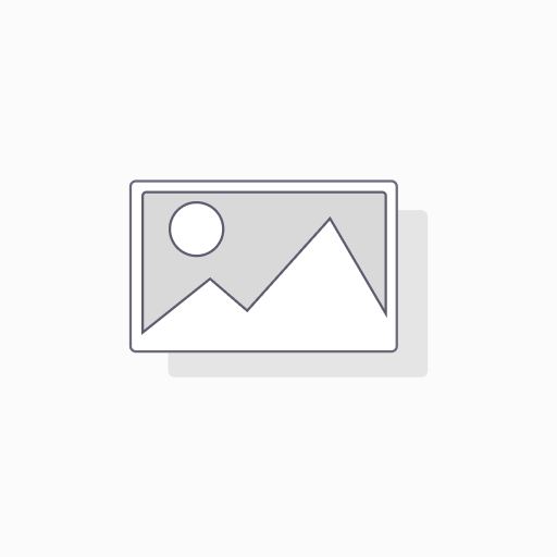 COCCINELLA COPY 433 MHz 4CH CARBON - 10 STUKS