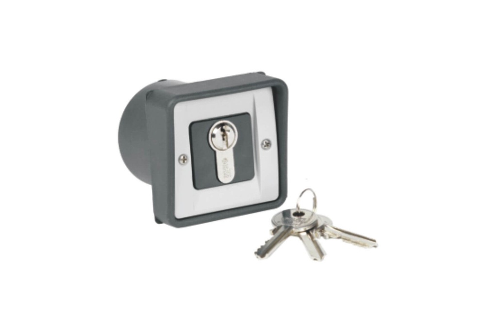 KEY SELECTOR WITH CYLINDER-Ø 60 MM-BUILD-IN-IP54