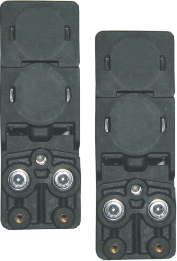 PAIR OF MAGNETS FOR SL AND PASS
