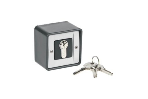 [AU01930] KEY SELECTOR WITH CYLINDER-Ø 60 MM-WALL-MOUNTED-IP54